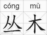 丛木的拼音