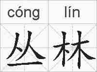 丛林的拼音