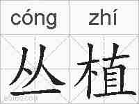 丛植的拼音