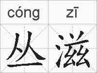 丛滋的拼音