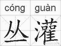 丛灌的拼音