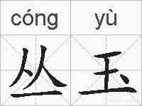 丛玉的拼音