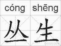 丛生的拼音