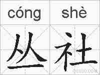 丛社的拼音
