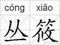 丛筱的拼音