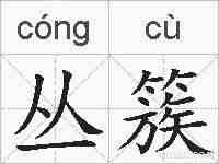 丛簇的拼音