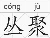 丛聚的拼音