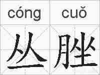 丛脞的拼音