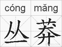 丛莽的拼音