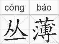 丛薄的拼音
