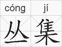 丛集的拼音