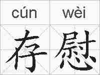 存慰的拼音