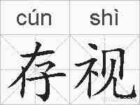 存视的拼音