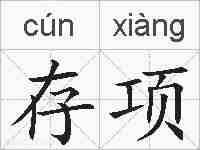 存项的拼音