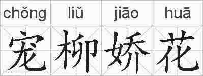 宠柳娇花的拼音
