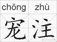 宠注的拼音