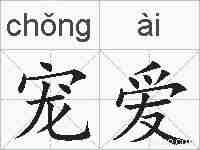 宠爱的拼音