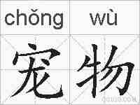 宠物的拼音