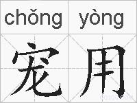 宠用的拼音