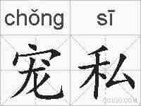宠私的拼音
