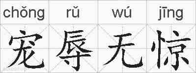 宠辱无惊的拼音