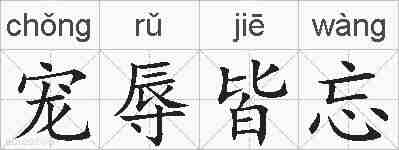 宠辱皆忘的拼音