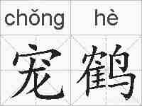 宠鹤的拼音