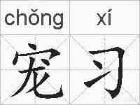 宠习的拼音