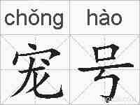 宠号的拼音