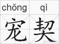 宠契的拼音