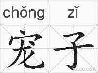宠子的拼音