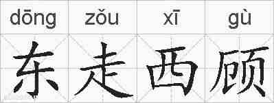 东走西顾的拼音