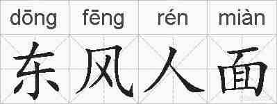东风人面的拼音