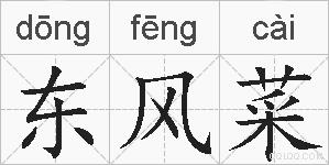 东风菜的拼音