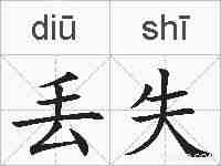 丢失的拼音