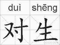 对生的拼音
