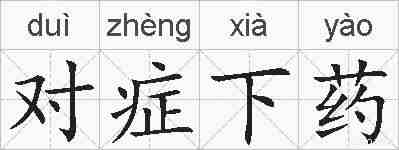 对症下药的拼音