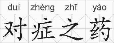 对症之药的拼音