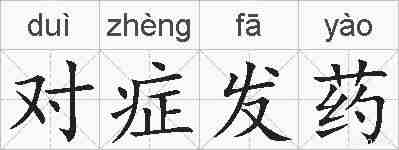 对症发药的拼音
