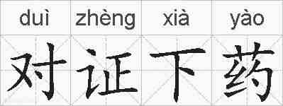 对证下药的拼音