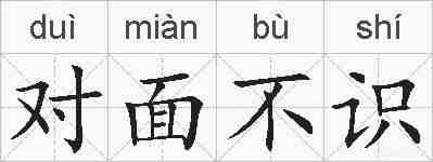 对面不识的拼音