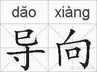 导向的拼音