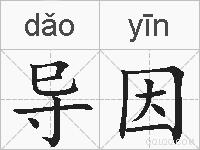 导因的拼音