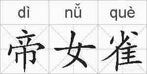 帝女雀的拼音