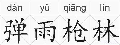 弹雨枪林的拼音