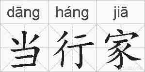 当行家的拼音