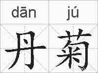 丹菊的拼音