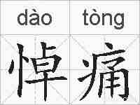 悼痛的拼音