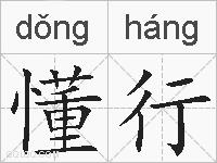 懂行的拼音