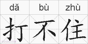 打不住的拼音